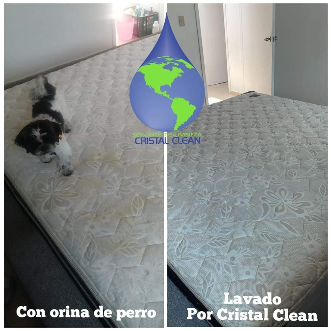 495574676_1023953973057685_3758345787157315667_n